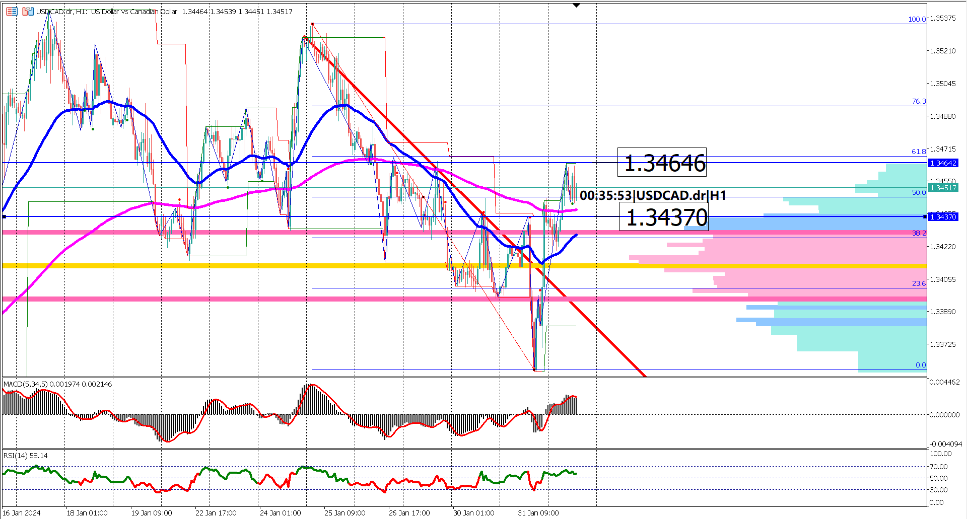 USDCAD Rebounds: Charting the Course for a Potential Bullish Reversal